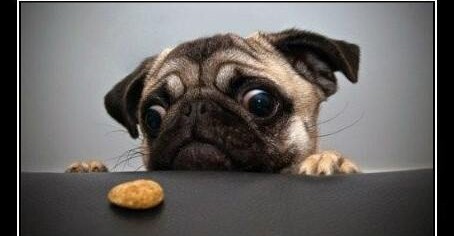 Detox dopo le feste: 5 errori da non fare